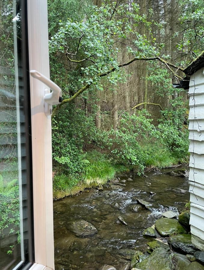 Cuckoo Cabin, Tyn Y Cwm Eglwys-Fach Exterior foto
